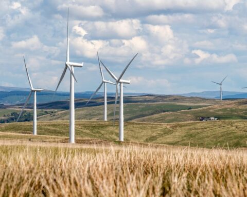 Feuille de route énergétique : Lecornu face à Retailleau et Le Pen pour un avenir durable