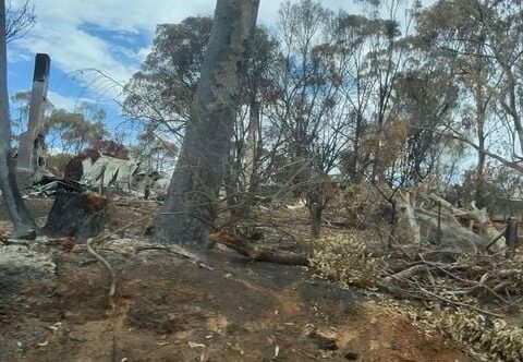 Incendies en Australie : la région de Victoria s'organise pour protéger faune, flore et habitants