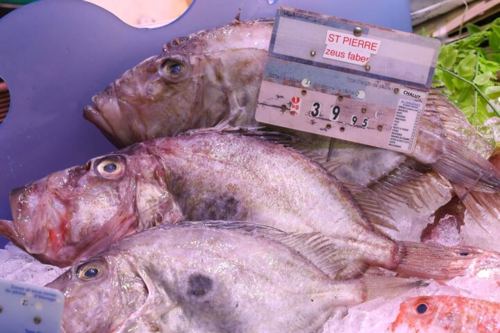 La surpêche en France : plus de 320.000 tonnes de poissons capturées chaque année selon l'Ifremer