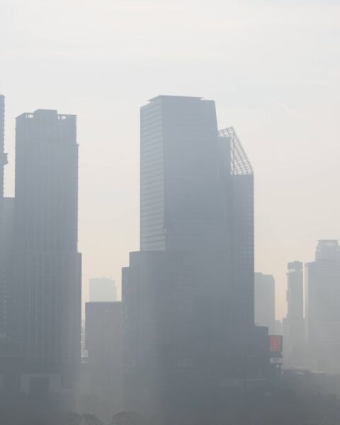 L'augmentation des concentrations de méthane expliquée par une baisse temporaire des nettoyants atmosphériques