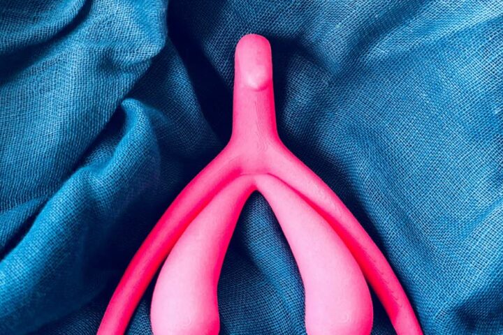 Le clitoris : questions essentielles pour mieux comprendre son rôle et sa santé