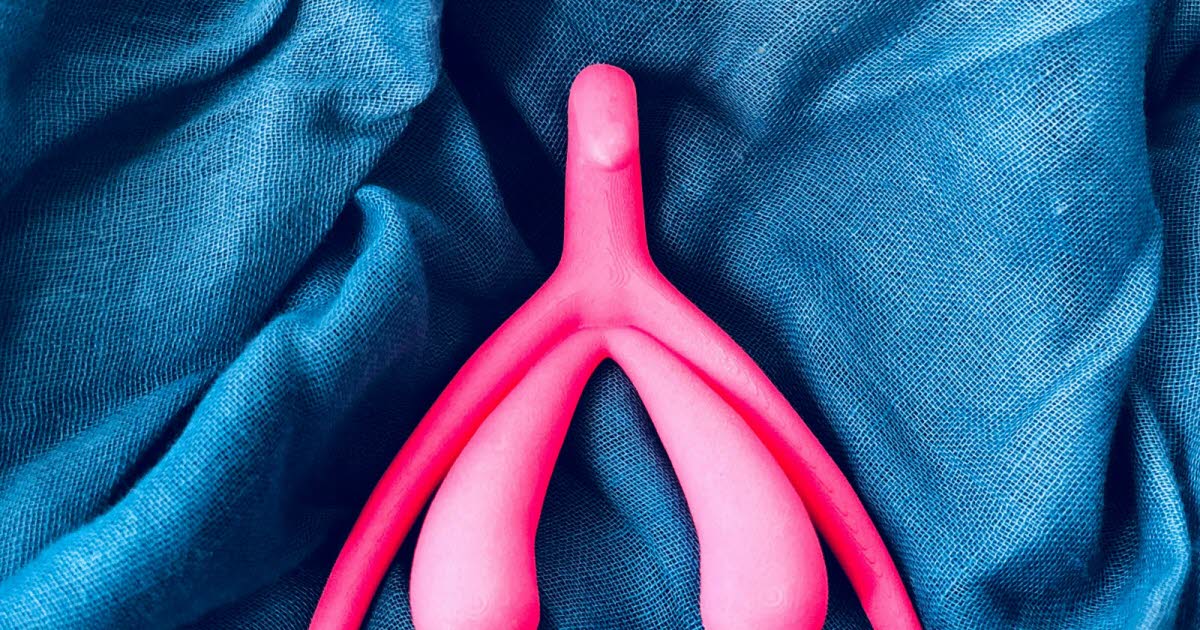 Le clitoris : questions essentielles pour mieux comprendre son rôle et sa santé