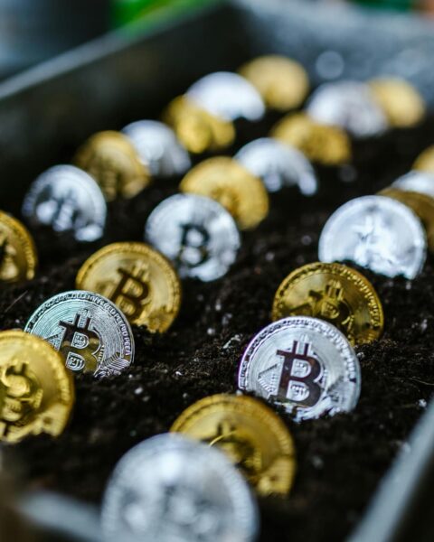 Les institutions accumulent près de 150.000 bitcoins en un an malgré la volatilité du marché