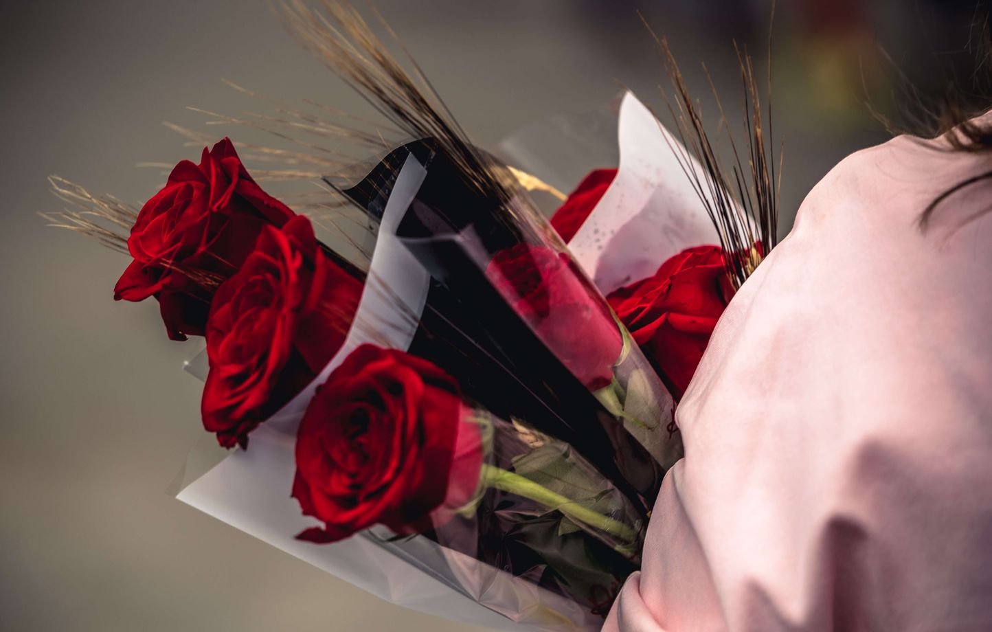 Les roses importées pour la Saint-Valentin : impact environnemental et provenances variées