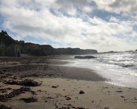 Loire-Atlantique : fermeture du sentier côtier après l'effondrement d'une falaise à Piriac-sur-Mer