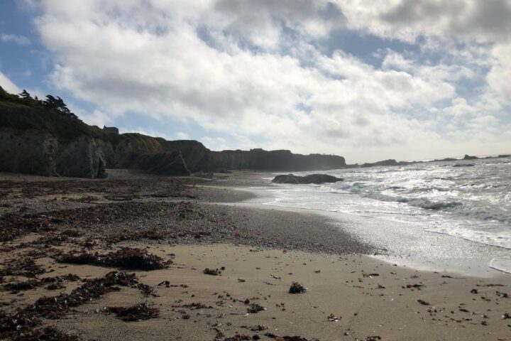 Loire-Atlantique : fermeture du sentier côtier après l'effondrement d'une falaise à Piriac-sur-Mer