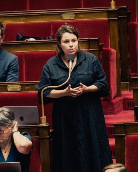 Lyon : une députée EELV dénonce une manifestation politique avec des saluts nazis