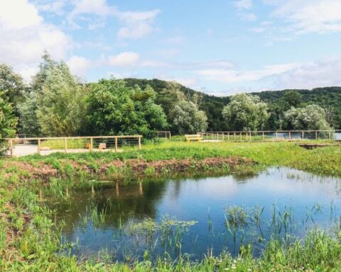 Municipales 2026 : comment un parc à Vernon aide à prévenir les inondations