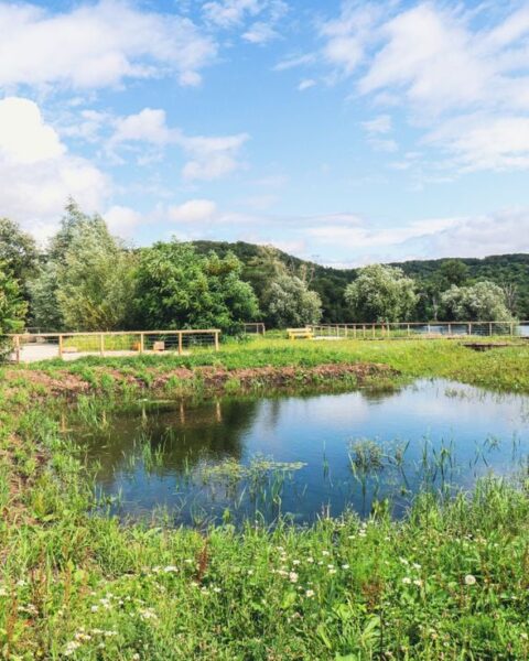 Municipales 2026 : comment un parc à Vernon aide à prévenir les inondations