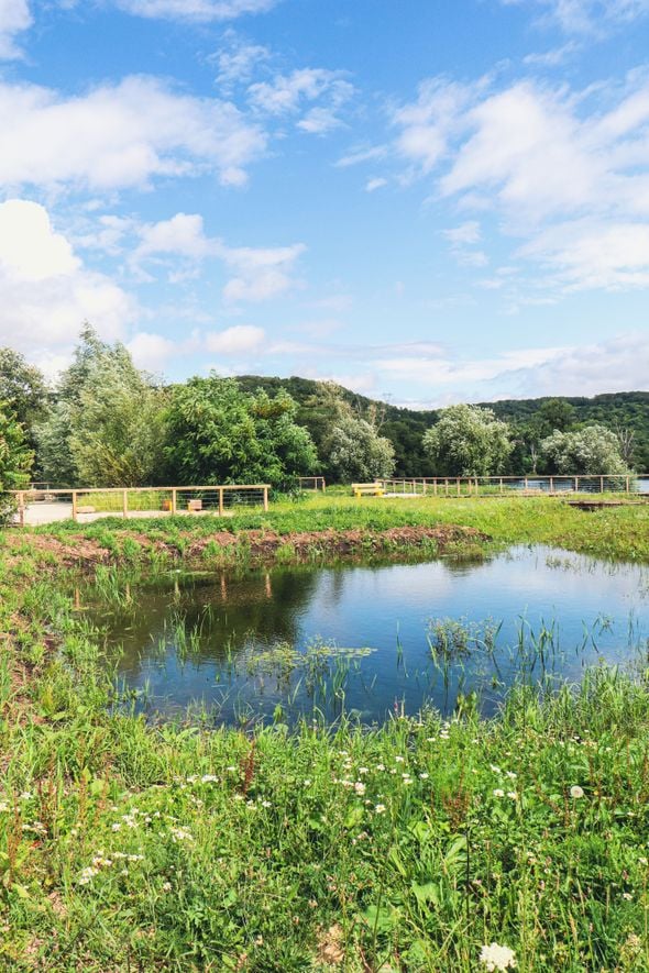 Municipales 2026 : comment un parc à Vernon aide à prévenir les inondations
