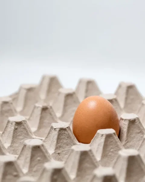 Pénurie d'œufs : les fermes locales qui sauvent nos supermarchés de la crise.