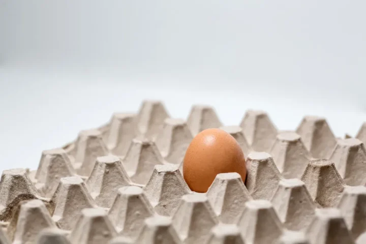 Pénurie d'œufs : les fermes locales qui sauvent nos supermarchés de la crise.