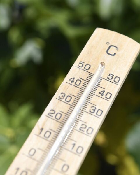 Record de chaleur en février dans le sud-ouest de la France, des températures proches de 30°C