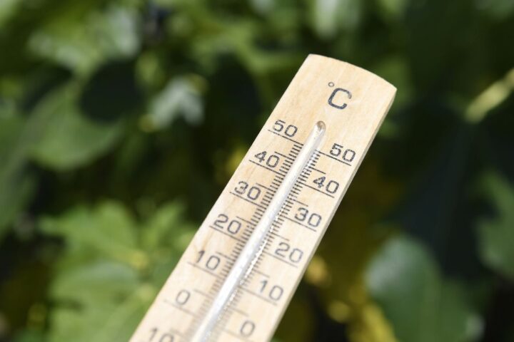 Record de chaleur en février dans le sud-ouest de la France, des températures proches de 30°C
