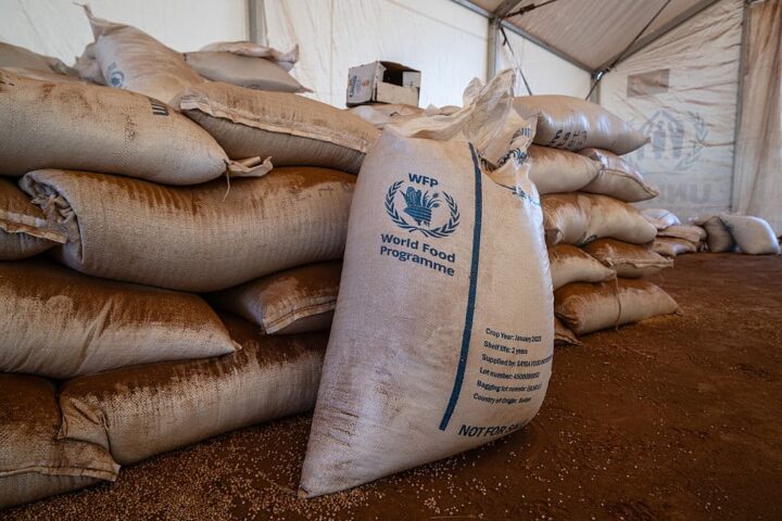 Réimaginer l'aide internationale face aux crises humanitaires croissantes