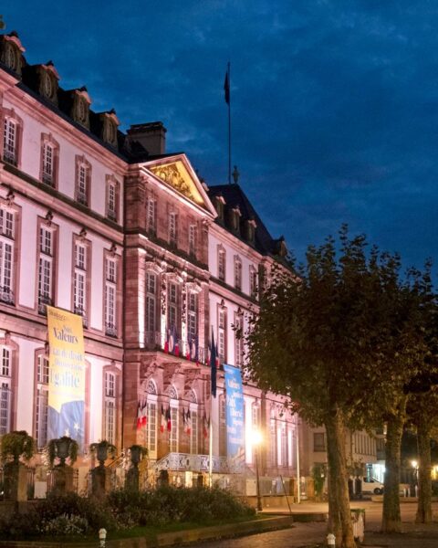 Strasbourg : Cem Yoldas, ancien porte-parole de la Jeune Garde, se retire des municipales après des menaces