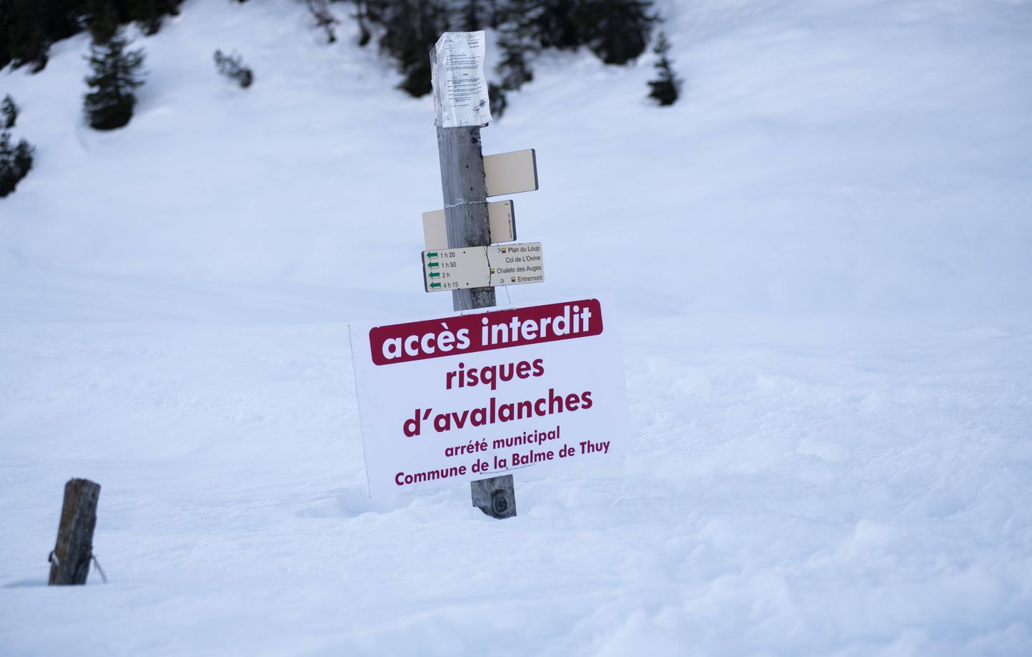 Tempête Nils : la Plagne et d'autres stations des Alpes fermées en raison d'un risque maximal d'avalanches