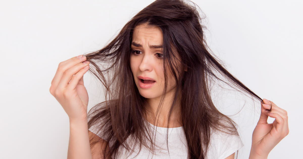 Arracher un cheveu blanc n'entraîne pas la pousse de deux nouveaux
