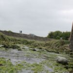 Bretagne : des syndicats dénoncent une mutation forcée d'une agente engagée contre la pollution aux nitrates