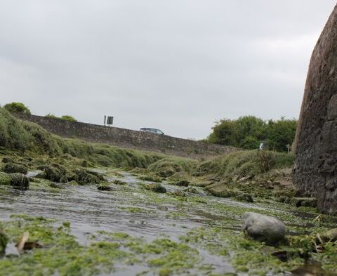 Bretagne : des syndicats dénoncent une mutation forcée d'une agente engagée contre la pollution aux nitrates