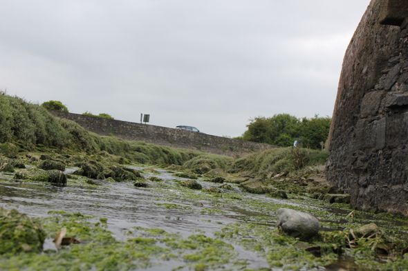 Bretagne : des syndicats dénoncent une mutation forcée d'une agente engagée contre la pollution aux nitrates
