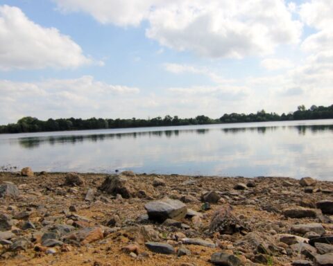 Bretagne : L'État cède-t-il aux pressions de la FNSEA sur l'interdiction des pesticides ?