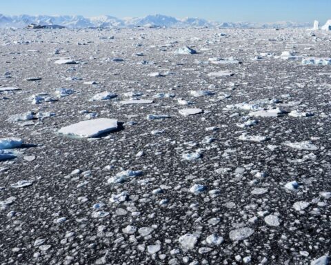 Climat : une étude révèle que l'élévation du niveau des océans pourrait être largement sous-estimée