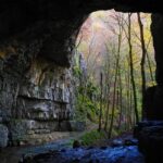 Découvertes de nouvelles espèces, dont une vipère et un serpent volant, dans des grottes du Cambodge