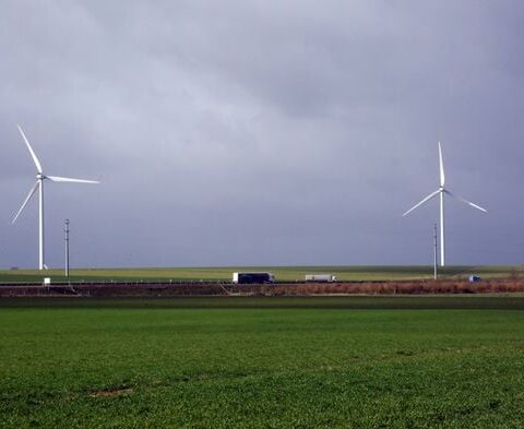 Des arbres de la forêt amazonienne utilisés pour la fabrication de pales d'éoliennes en France ?