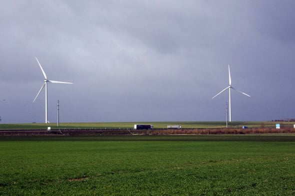 Des arbres de la forêt amazonienne utilisés pour la fabrication de pales d'éoliennes en France ?