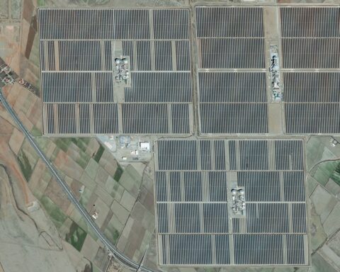 Des milliers d'oliviers abattus en Andalousie pour des projets solaires, des tensions augmentent