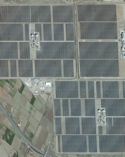 Des milliers d'oliviers abattus en Andalousie pour des projets solaires, des tensions augmentent