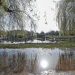 Des pluies exceptionnelles en février entraînent une recharge significative des nappes phréatiques en France