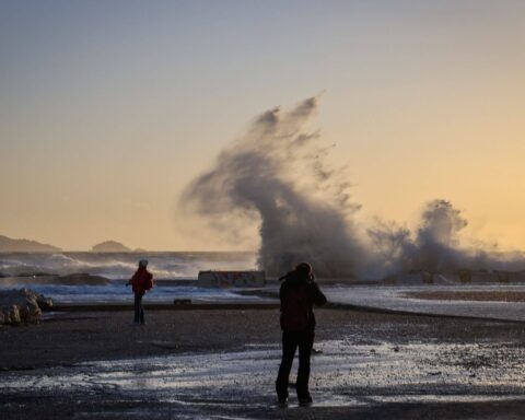 Des vents violents causent des chutes d'arbres et un blessé à Marseille en Provence