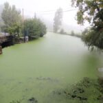 Déversement de 30.000 litres de lait dans la rivière Oust en Bretagne suite à un incident à l'usine Entremont