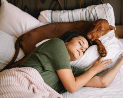 Dormir avec son animal de compagnie : avantages et risques pour la santé selon une étude récente