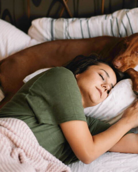 Dormir avec son animal de compagnie : avantages et risques pour la santé selon une étude récente