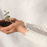 Empreinte carbone : les obstacles économiques à la transition écologique face au pouvoir d’achat