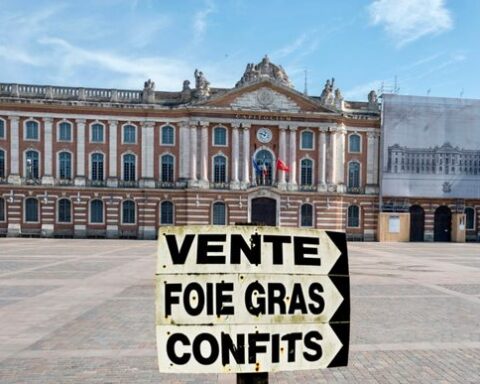 Foie gras et élections municipales à Toulouse : une polémique inattendue se profile