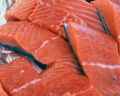 Gironde : la commission d'enquête publique donne un avis favorable à l'usine de saumons de Pure Salmon