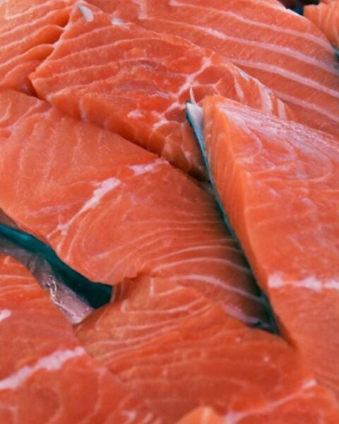 Gironde : la commission d'enquête publique donne un avis favorable à l'usine de saumons de Pure Salmon