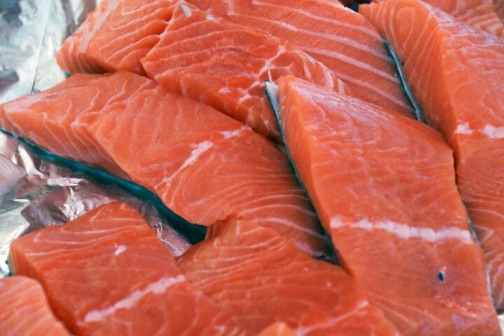 Gironde : la commission d'enquête publique donne un avis favorable à l'usine de saumons de Pure Salmon