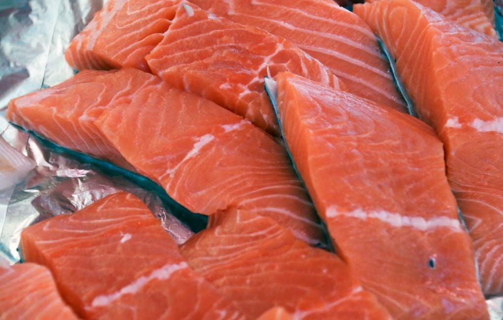 Gironde : la commission d'enquête publique donne un avis favorable à l'usine de saumons de Pure Salmon