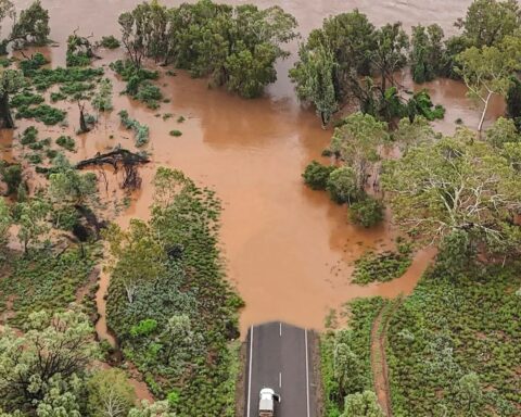 Inondations en Australie : la police avertit de la présence de crocodiles après des évacuations massives