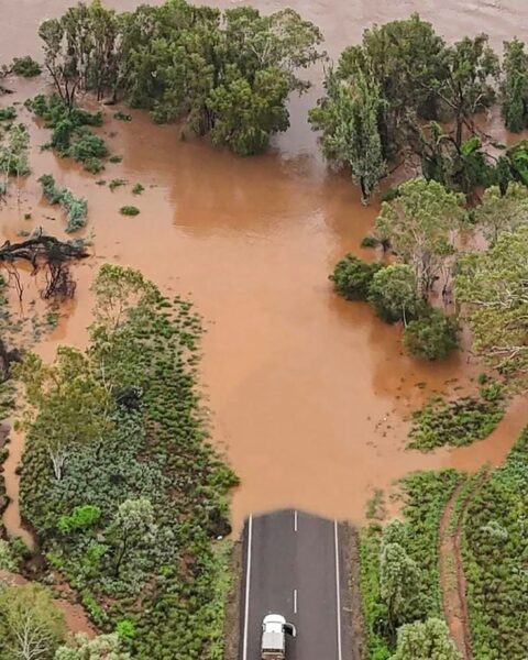 Inondations en Australie : la police avertit de la présence de crocodiles après des évacuations massives
