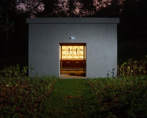 Khao Yai Art Forest : un musée en plein air innovant en Thaïlande pour 2026