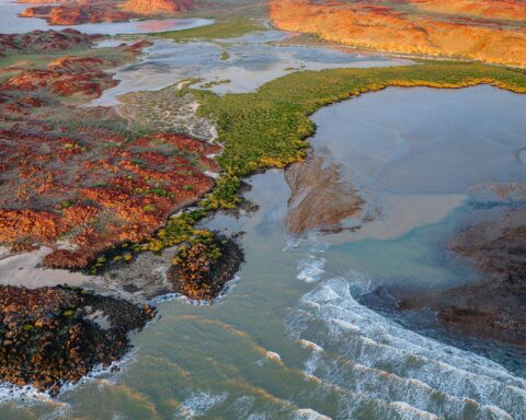 Le paysage culturel de Murujuga : reconnu comme site UNESCO pour ses valeurs culturelles indigènes