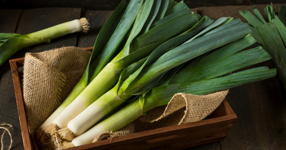Les légumes de printemps à privilégier pour leurs bienfaits vitaminés