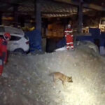 L'Iran menace les universités américaines au Moyen-Orient après des frappes sur des établissements en Iran