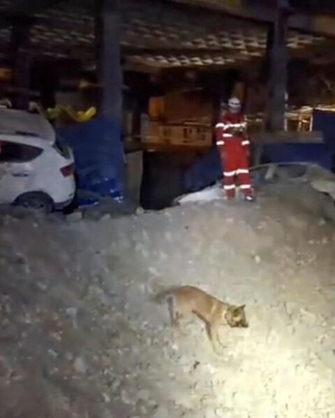 L'Iran menace les universités américaines au Moyen-Orient après des frappes sur des établissements en Iran